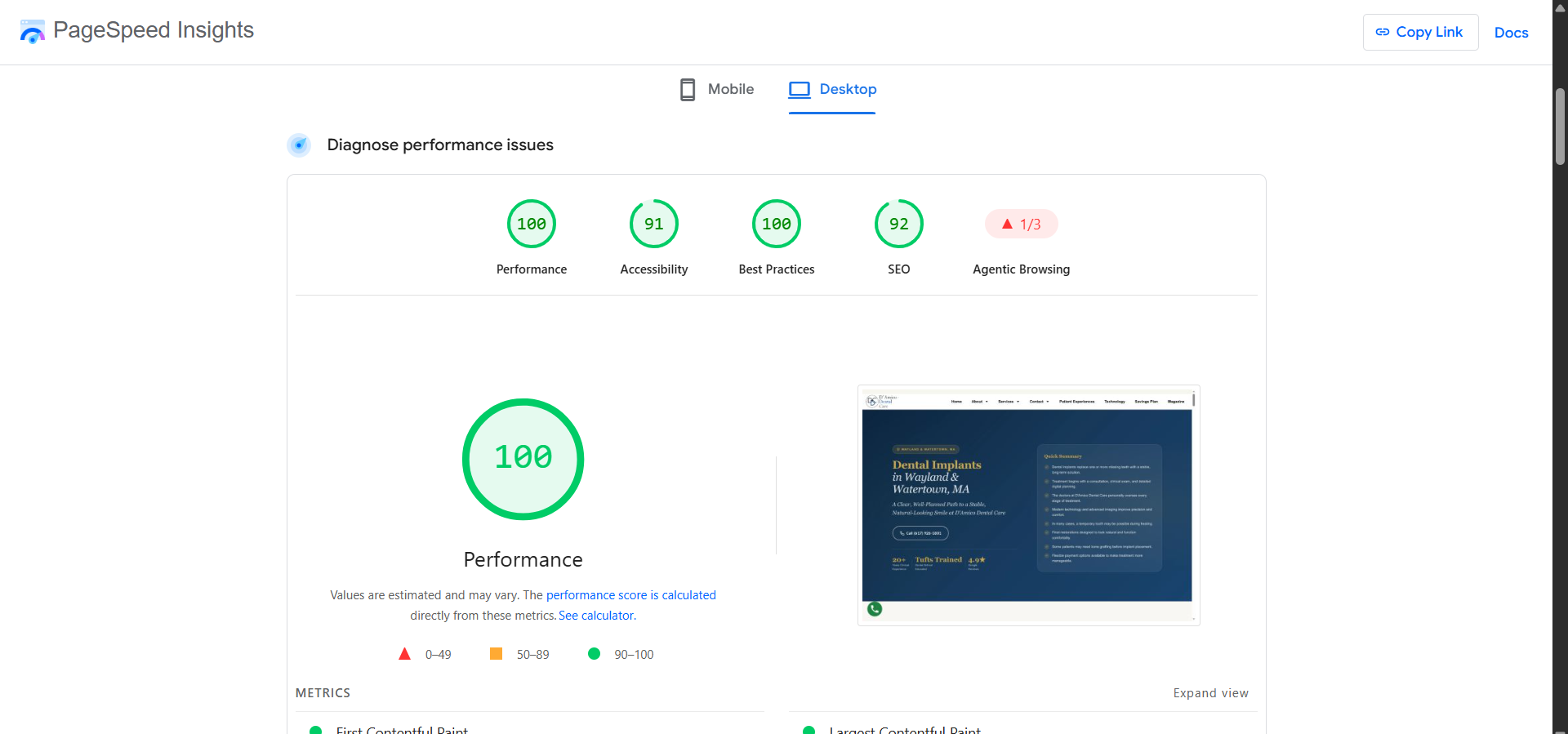 Google PageSpeed Insights - Perfect 100 Score